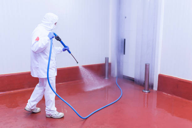Best Graffiti Removal  in Rainelle, WV