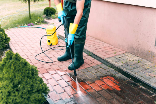Best House Exterior Washing  in Rainelle, WV