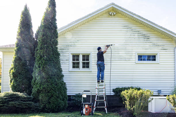 Best Driveway Pressure Washing  in Rainelle, WV